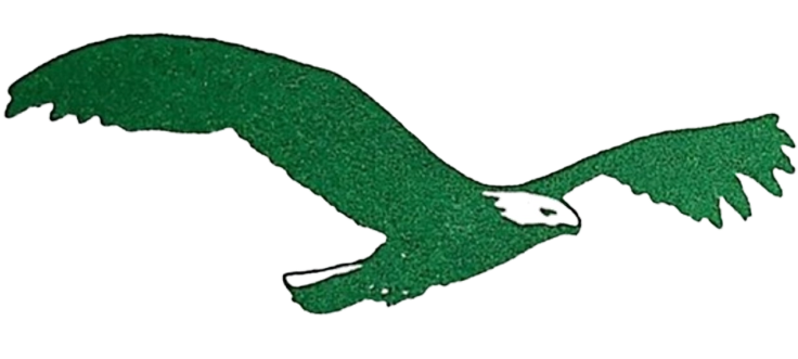 Vive Eagle Land, Inc.